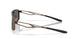 603104 - Brown - Prizm Black