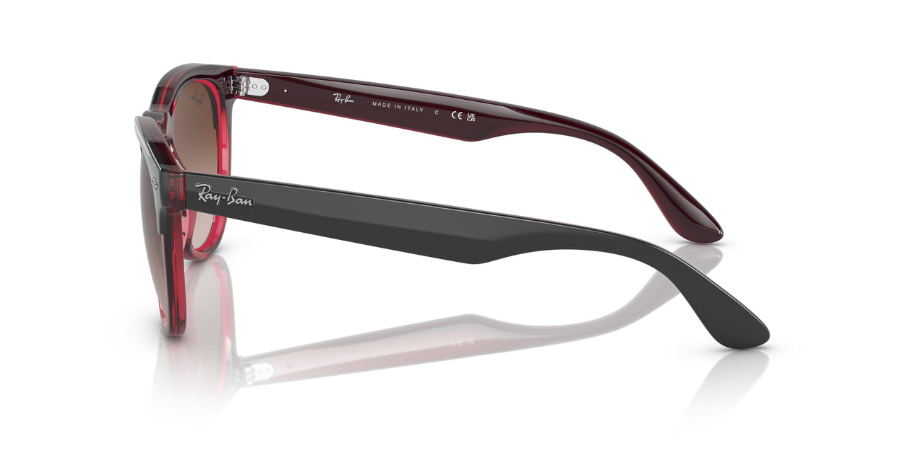 663113 - Grey - Gradient Brown