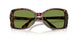 24/4E - Tortoise - Green