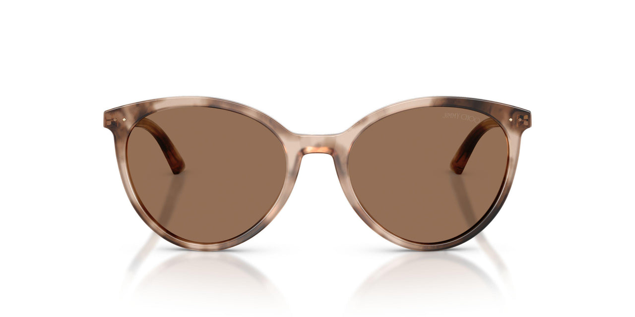 509773 - Tortoise - Dark Brown
