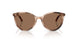 509773 - Tortoise - Dark Brown