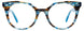 50 - Transparent Cyan & Striped Tortoise