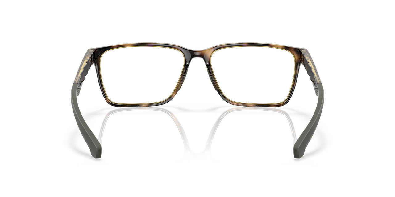 801702 - Tortoise