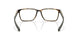 801702 - Tortoise