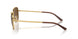 001/M2 - Gold - Brown