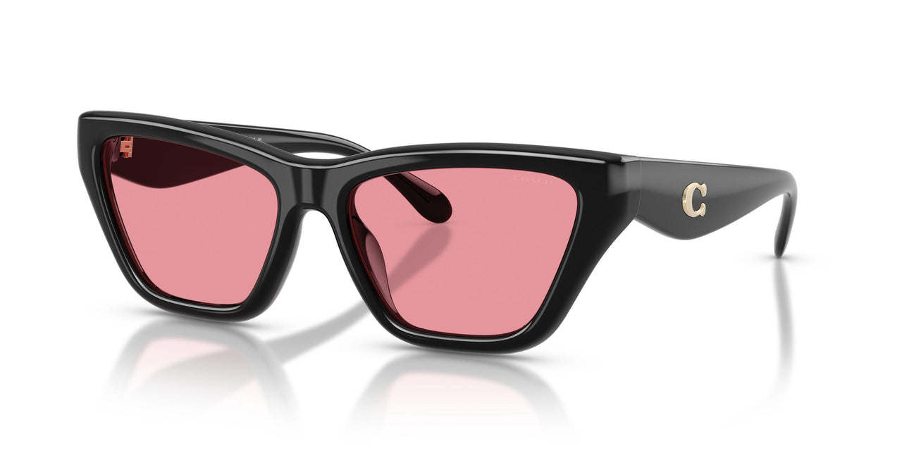 Coach Cdp33 8449U Sunglasses