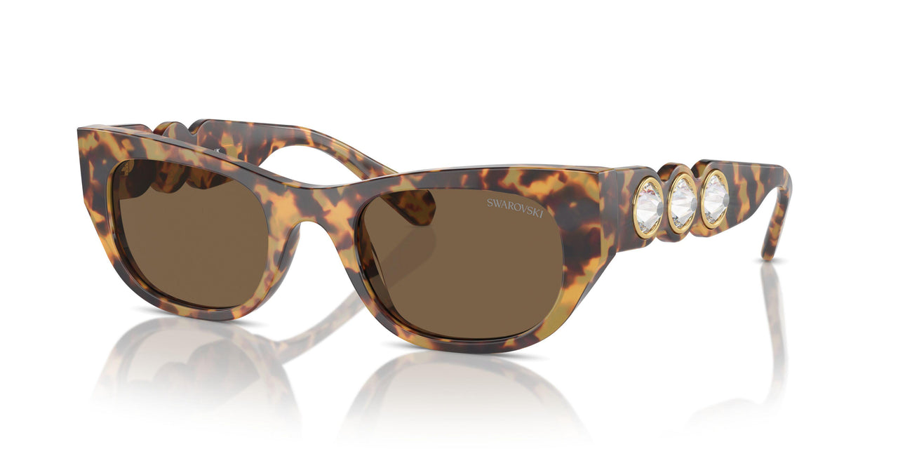 104073 - Tortoise - Dark Brown