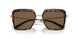 336373 - Tortoise - Dark Brown