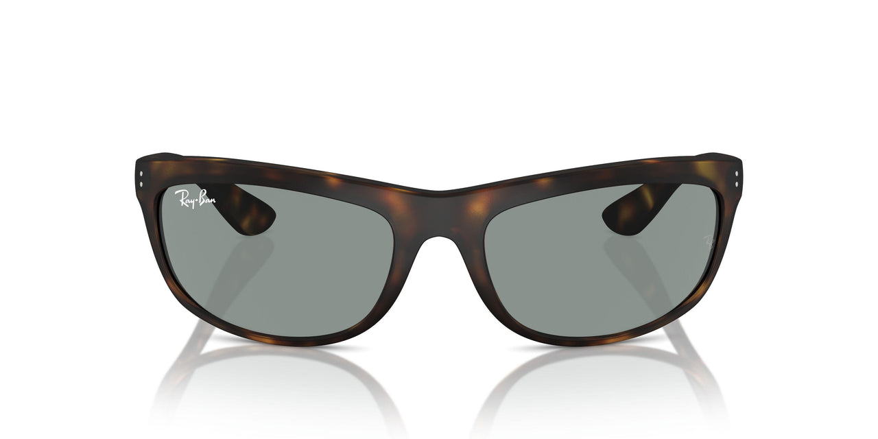 894/56 - Tortoise - Blue