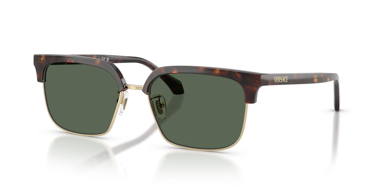 108/71 - Brown - Dark Green