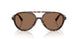500273 - Tortoise - Dark Brown