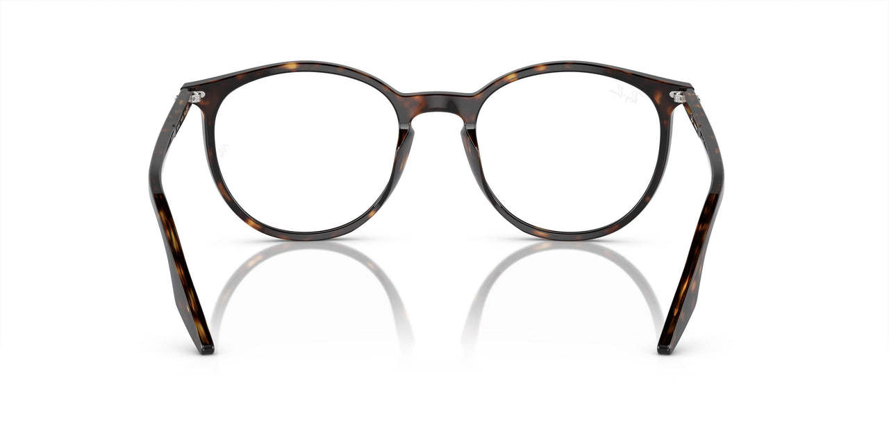902/GJ - Tortoise - Clear/green