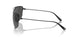 301/81 - Black - Polarized Grey