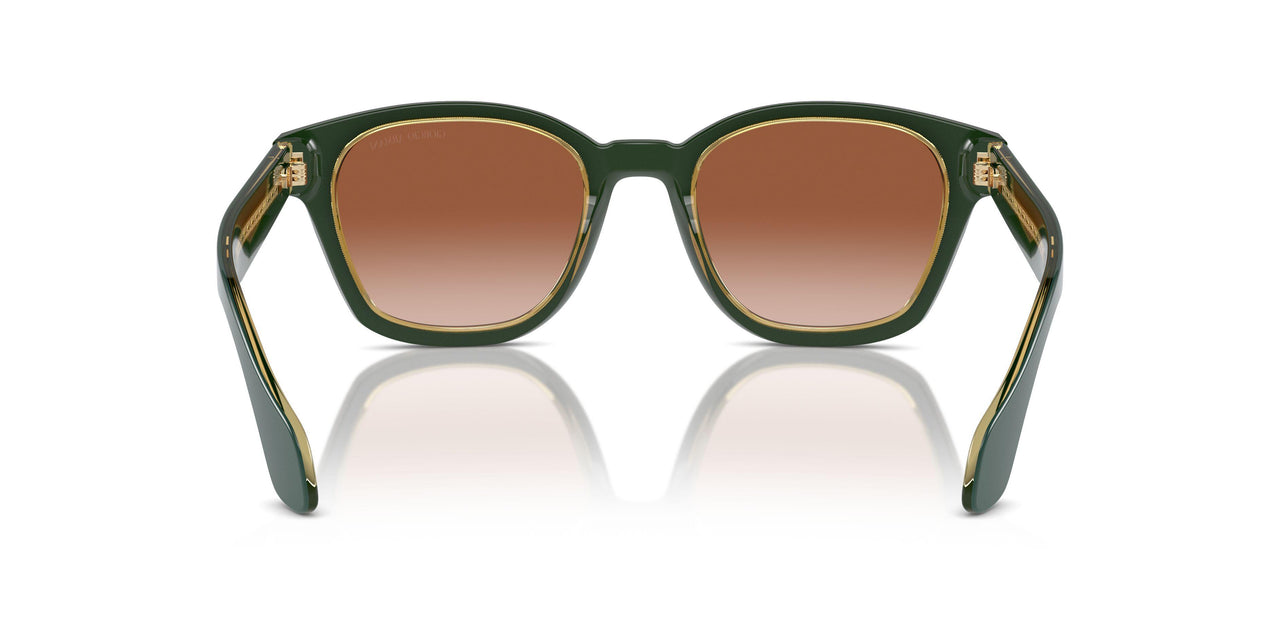 608613 - Green - Gradient Brown