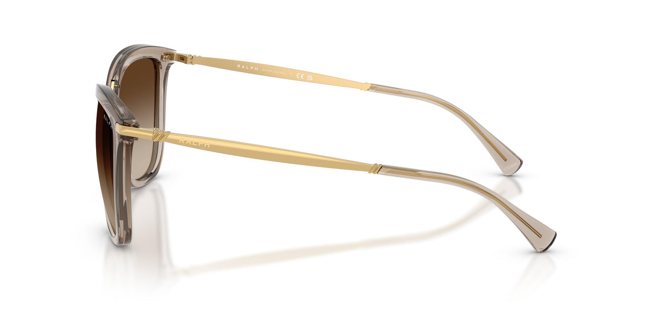 580213 - Brown - Gradient Brown