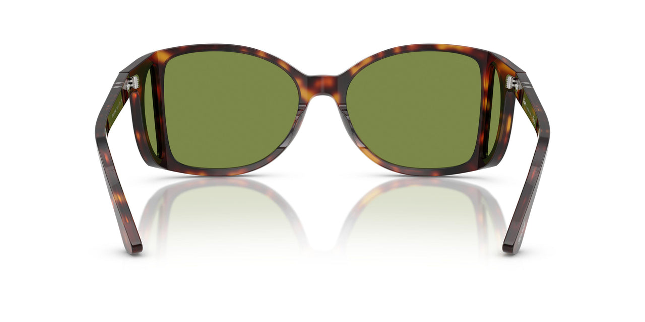 24/4E - Tortoise - Green