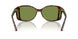 24/4E - Tortoise - Green