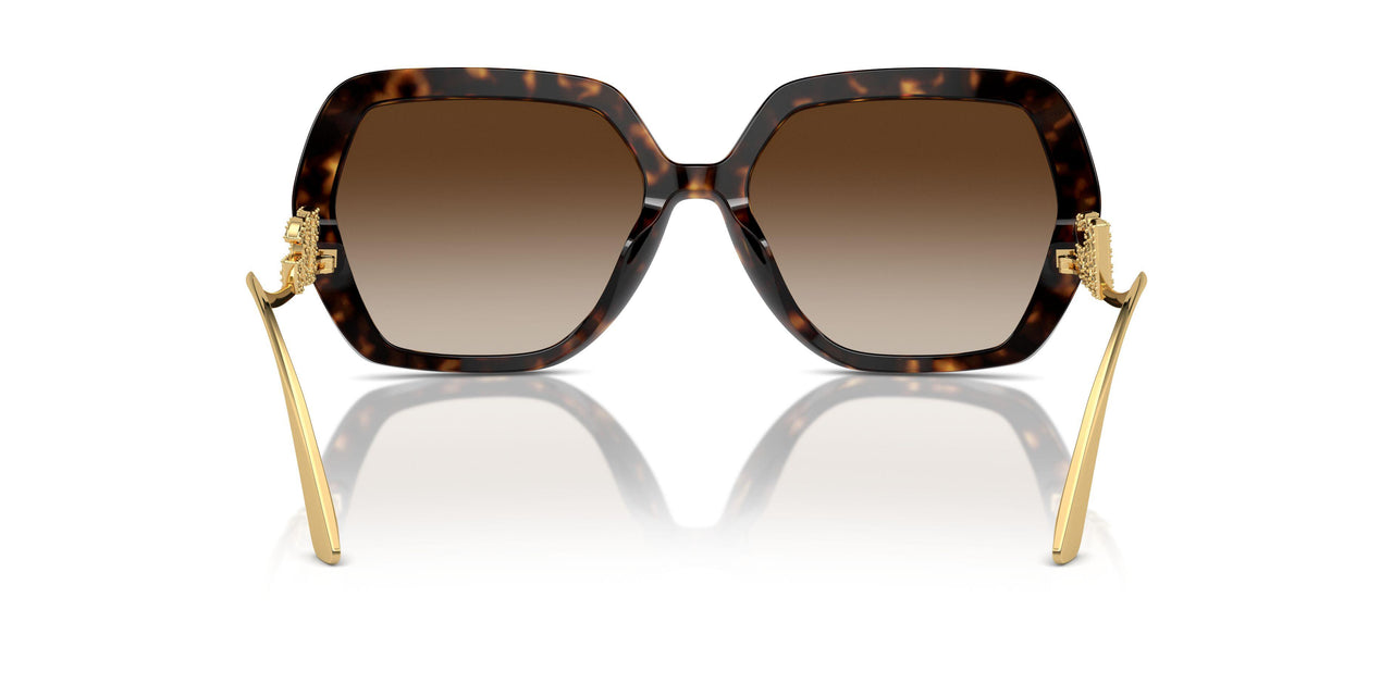 502/13 - Tortoise - Gradient Brown
