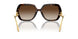 502/13 - Tortoise - Gradient Brown