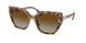 Swarovski 6016F Sunglasses