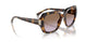 317968 - Tortoise - Violet Gradient Brown