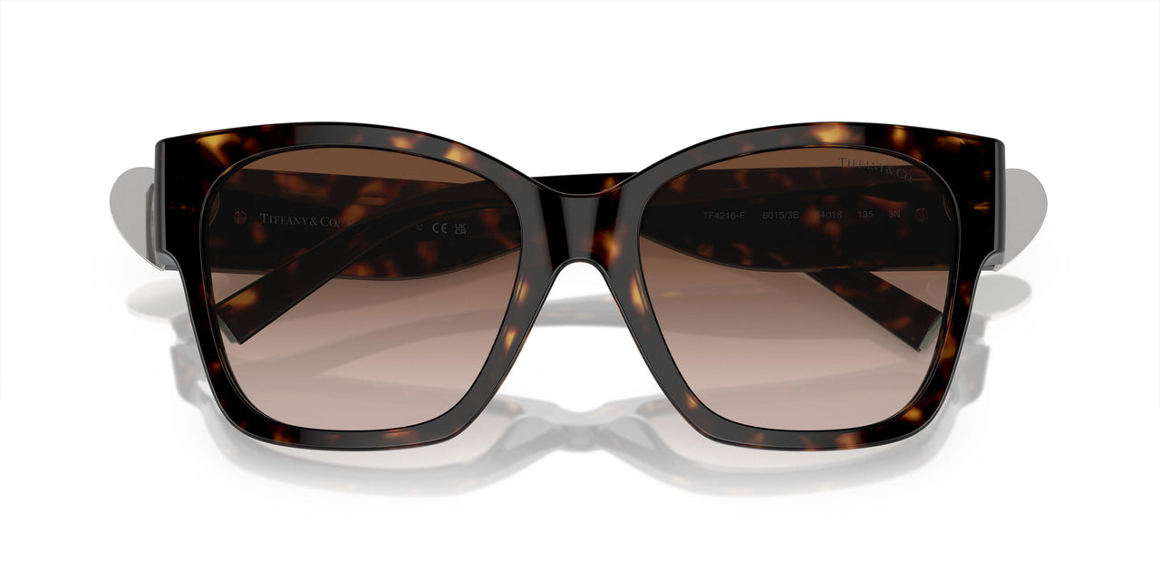 80153B - Tortoise - Brown Gradient