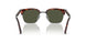 24/31 - Havana - Green