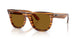 679183 - Brown - Polar Dark Brown