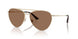 301773 - Gold - Dark Brown