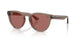 682769 - Brown - Dark Violet