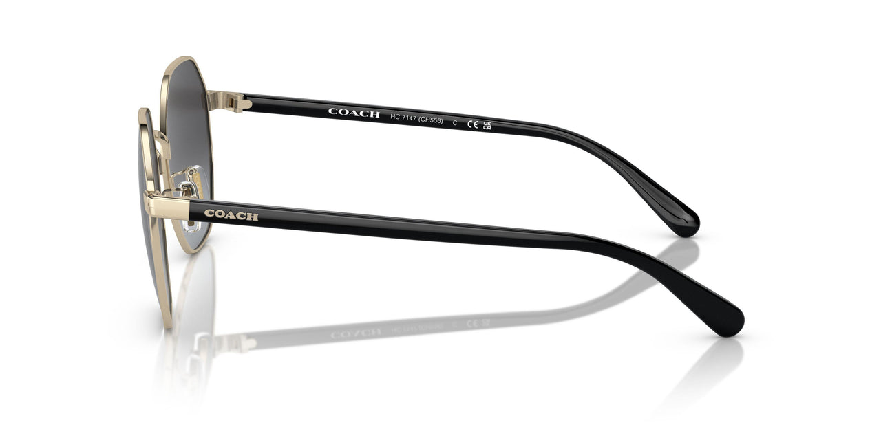 90058G - Gold - Grey Gradient