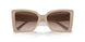 501113 - Beige - Gradient Brown