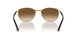900951 - Brown - Clear Gradient Brown