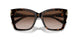 500213 - Tortoise - Gradient Brown