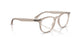 8449 - Brown - Clear
