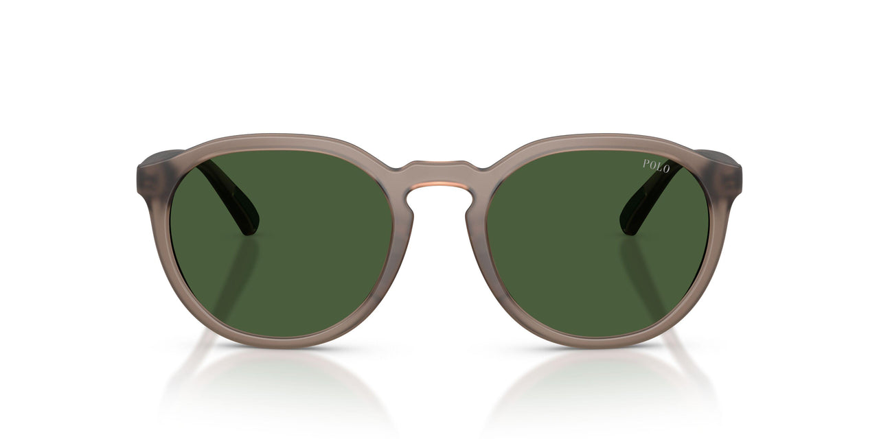 631371 - Brown - Bottle Green