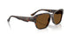 731/57 - Tortoise - Brown Polar