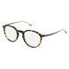 Minamoto MO31033 Eyeglasses