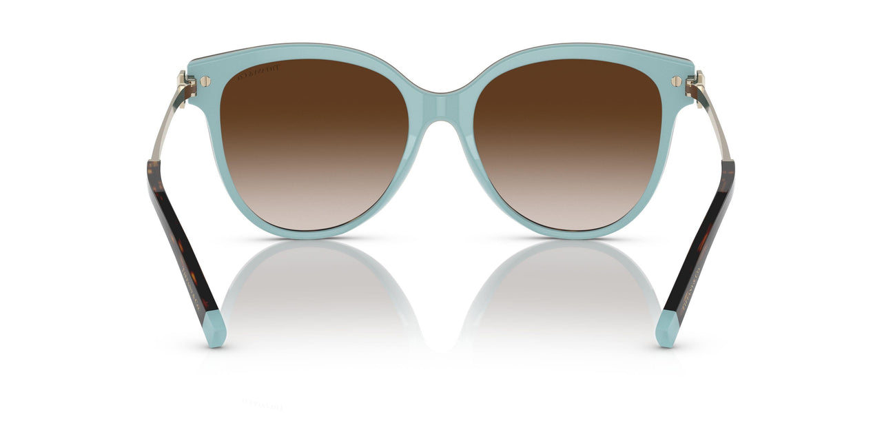 81343B - Havana - Brown Gradient