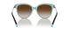 81343B - Havana - Brown Gradient