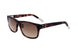 SN2 - BROWN TRANSPARENT BROWN HAVANA BROW