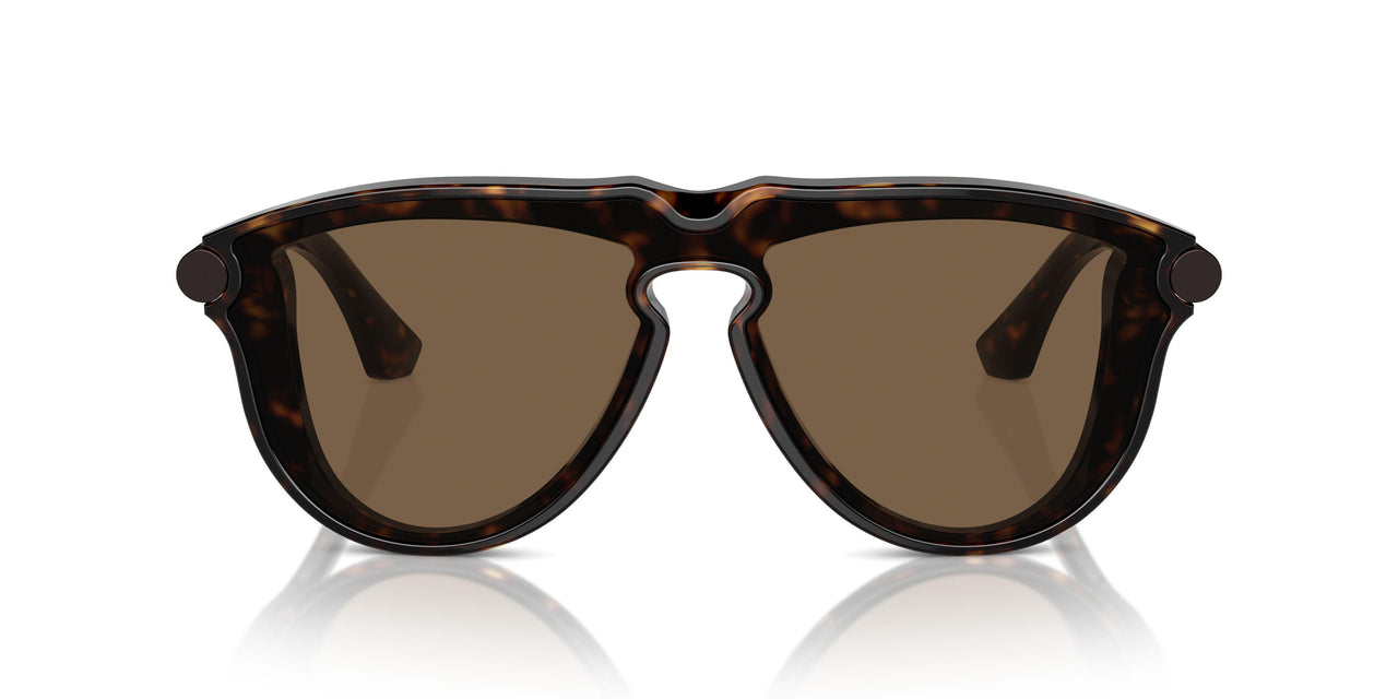 300273 - Brown - Brown