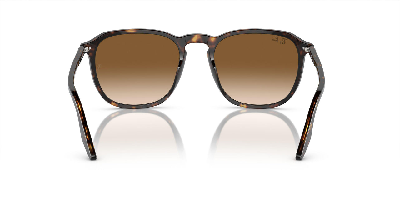 902/51 - Tortoise - Clear/brown