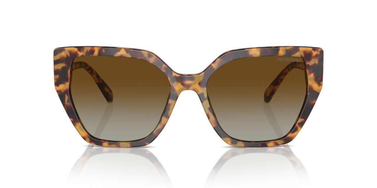 1004T5 - Tortoise - Brown Gradient