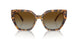 1004T5 - Tortoise - Brown Gradient