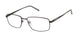 XXL Peregrine Eyeglasses