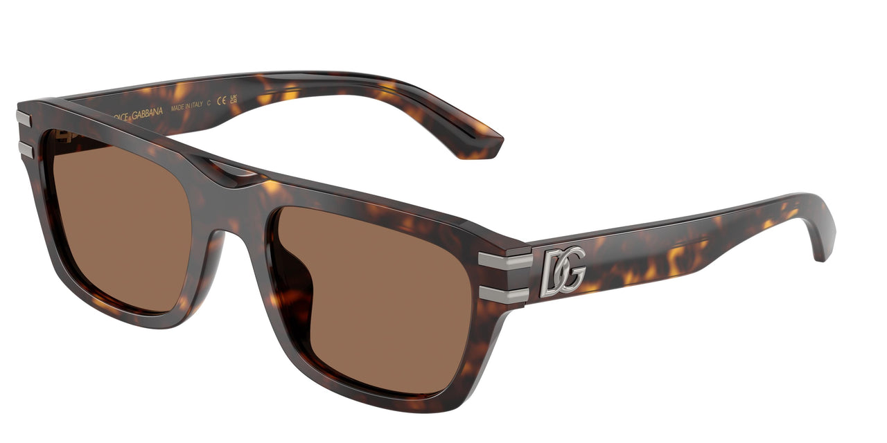 Dolce & Gabbana 4496 Sunglasses
