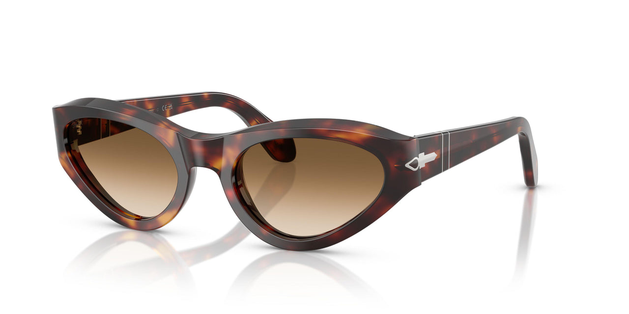 24/51 - Tortoise - Clear Gradient Brown