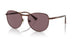 1124AF - Brown - Dark Violet Polar