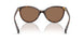 500373 - Brown - Brown